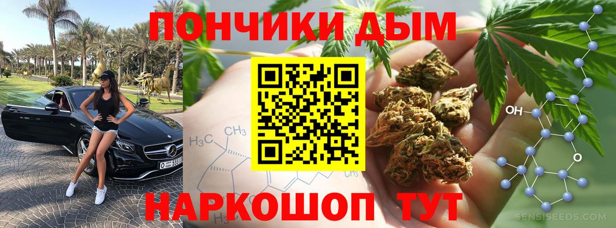 Шишки марихуана планчик  Каннабис индика  Тосно  Вход с VPN  Бошки марихуана сатива 